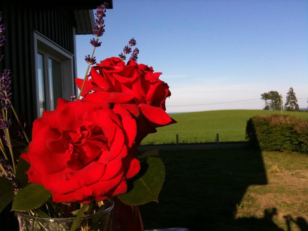 Cocoon Meetings Bed & Breakfast Degeberga Eksteriør bilde